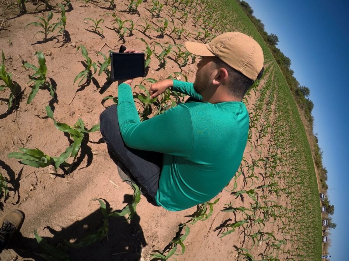 Produtor rural