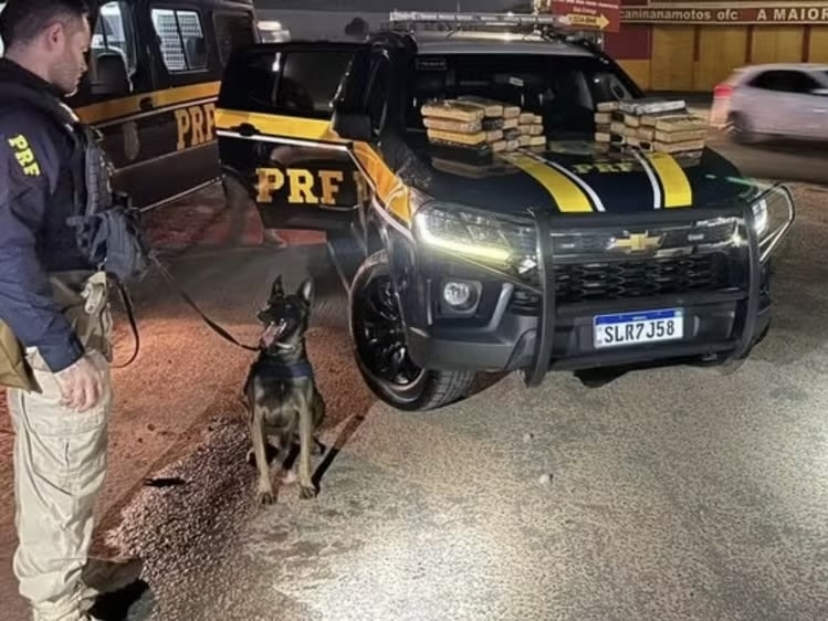 Adolescente foi apreendida com 34 kg de maconha na BR-343, em Teresina