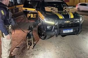 Adolescente foi apreendida com 34 kg de maconha na BR-343, em Teresina (Foto: Polícia Rodoviária Federal)