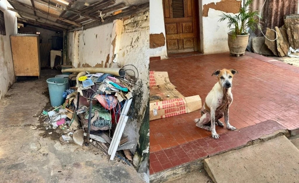Idosa é resgatada em situação de abandono