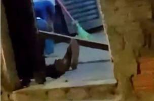 Imagens do local do crime (Foto: Reprodução)