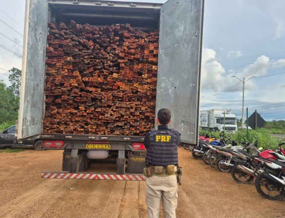 PRF apreende 69 m³ de madeira ilegal após fraude em documento florestal