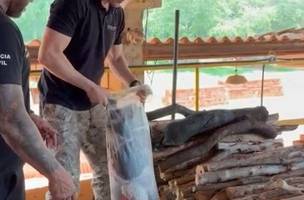 SSP incinera 250 kg de drogas apreendidas em operações no Piauí (Foto: Reprodução)