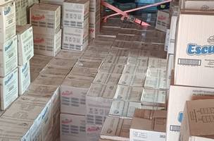 Carga irregular foi interceptada durante fiscalização na BR-316 (Foto: Divulgação/Gov.br)
