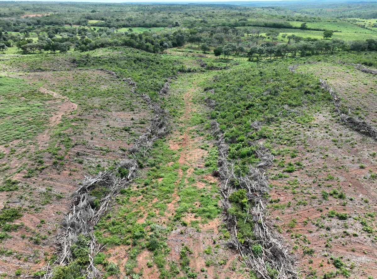 Equipes vistoriaram áreas degradadas durante operação em municípios piauienses