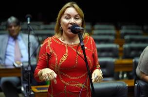 Gorete Pereira (Foto: Pablo Valadares/Câmara dos Deputados)