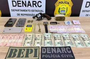 Material apreendido (Foto: Polícia civil)