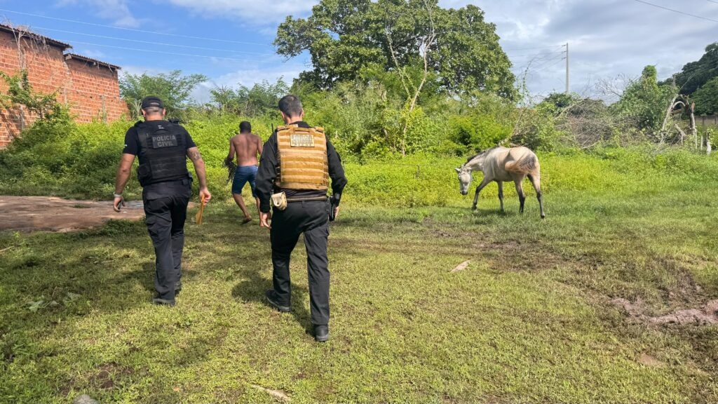 Polícia cumpre mandados contra investigados por animais soltos em vias de Floriano.