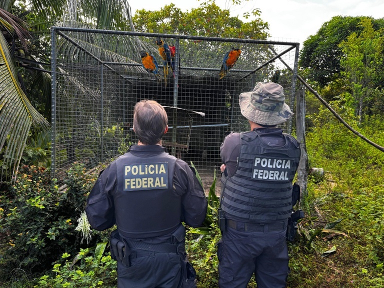 Policia Federal resgata animais silvestres ameaçados de extinção