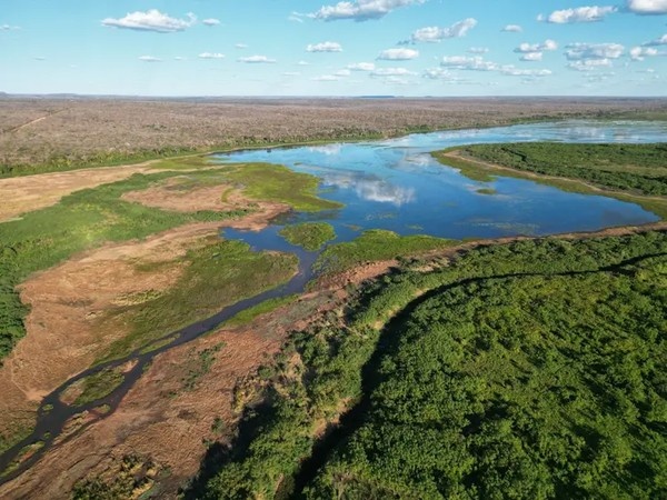 Rio gurgueia