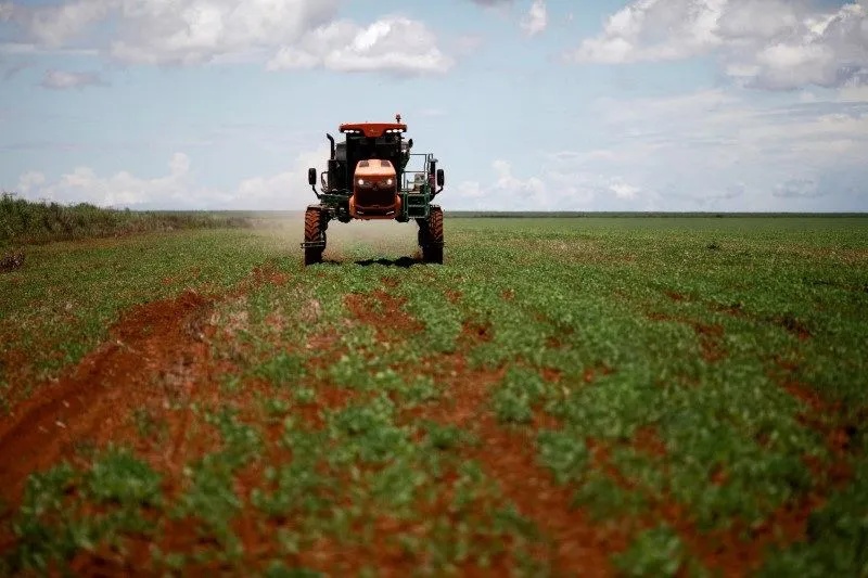 Alta global pressiona custo de fertilizantes no campo brasileiro