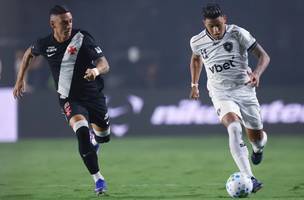 Botafogo (Foto: Brasileirão)