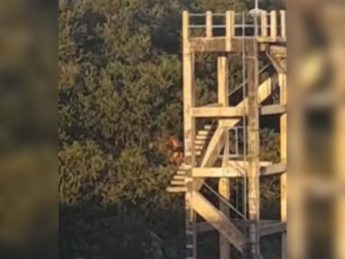 Imagens mostram o homem pulando da estrutura