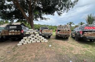 Polícia apreende 400kg de drogas no MA que suportamente seriam vendidos em Teresina (Foto: Reprodução/ Ascom SSP)