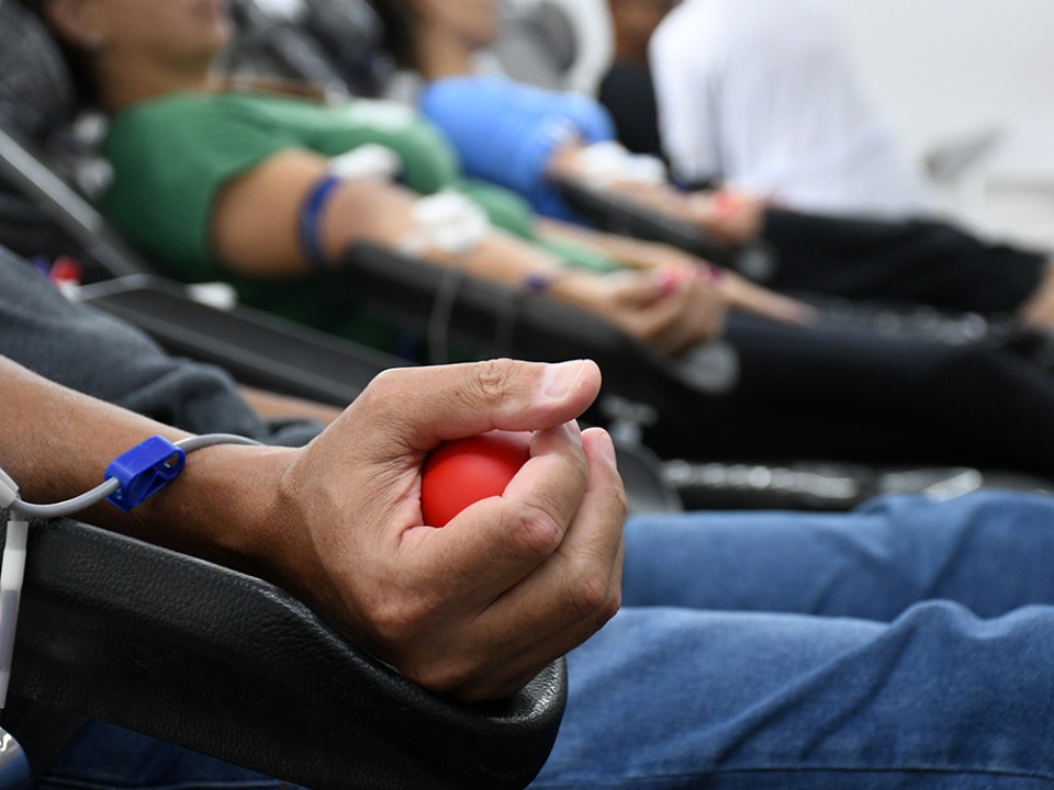 Proposta liga infrações leves à doação de sangue no estado