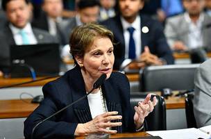 Tereza Cristina durante sessão no Senado. Foto: Geraldo Magela / Agência Senado (Foto: Divulgação / InfoMoney)