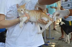 Vacinação contra a raiva para cães e gatos começa no sábado (18) em Teresina (Foto: Divulgação/FMS)