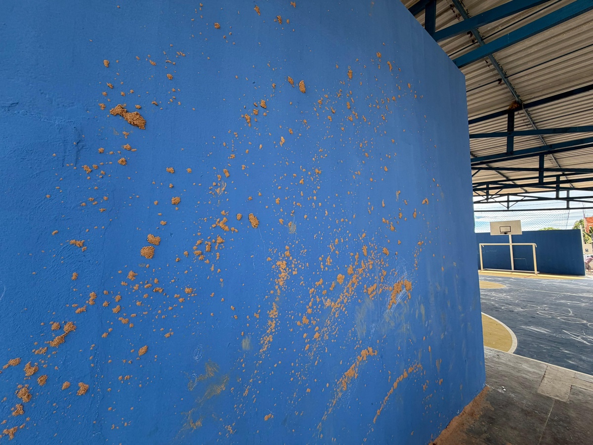 Estruturas do espaço esportivo apresentaram danos provocados por atos de vandalismos e até sujeira de fezes nas paredes