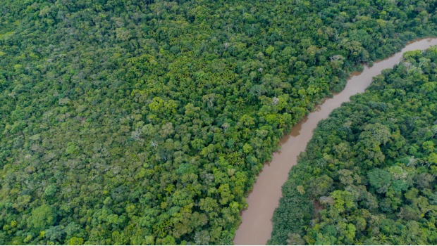 Floresta Amazônica