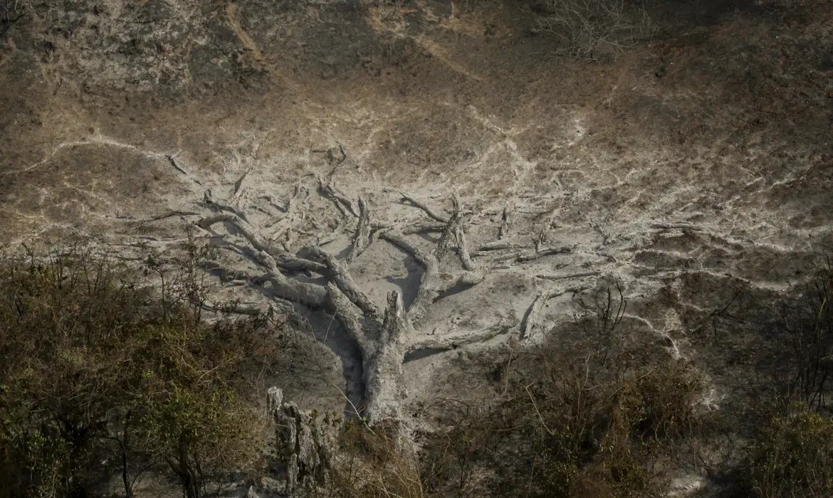Pesquisa mostra avanço dos impactos climáticos na rotina dos brasileiros.