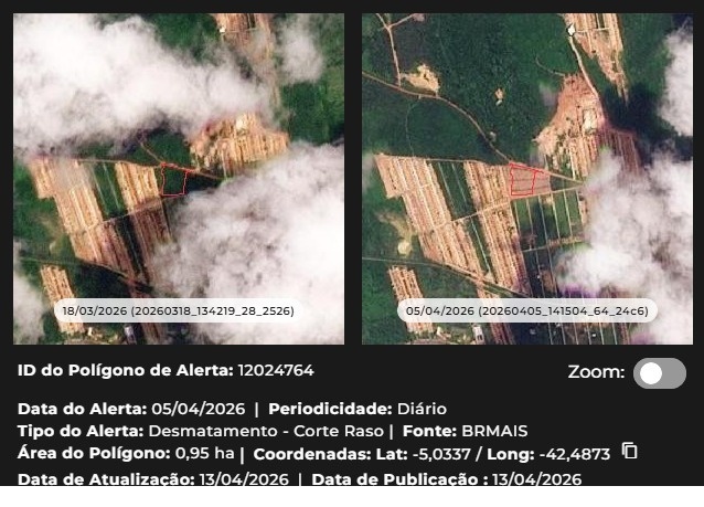 Piauí teve a maior queda do desmatamento no Cerrado em 2026.