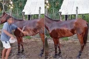 Ok
