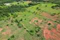 Tecnologia ambiental recuperam área degradada por desertificação no Piauí