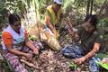 Lei reconhece quebradeiras de coco babaçu como patrimônio cultural do país