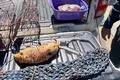 Homem é preso por caça ilegal e maus-tratos a animais na zona rural de Pio IX
