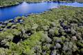 Amazônia registra menor alerta de desmatamento em uma década