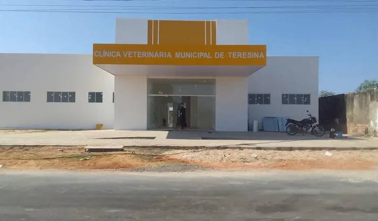 Direto da Redação: o abandono da clínica veterinária de Teresina