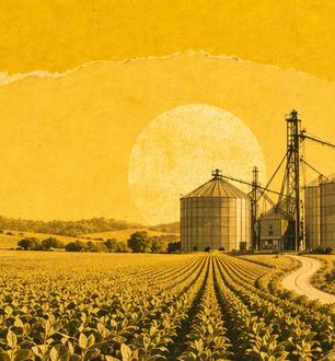 Medida provisória amplia crédito e facilita a renegociação de dívidas de produtores rurais afetados por perdas climáticas.