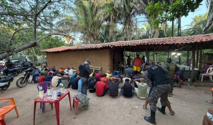 Polícia desmonta rinha de galos e resgata 59 aves em operação realizada em Timon