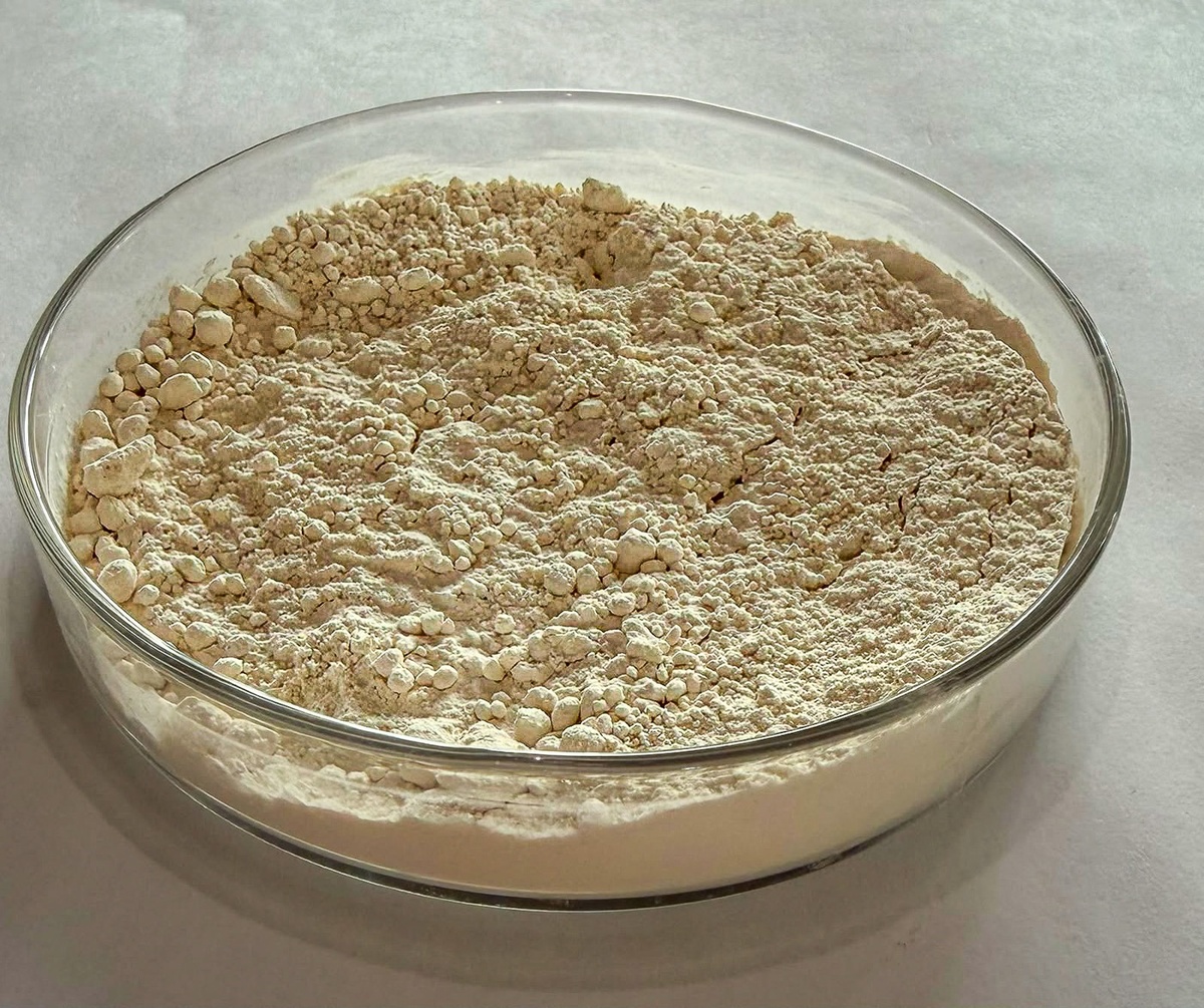 A fração proteica da farinha reúne todos os aminoácidos essenciais e apresenta sabor neutro e coloração clara.