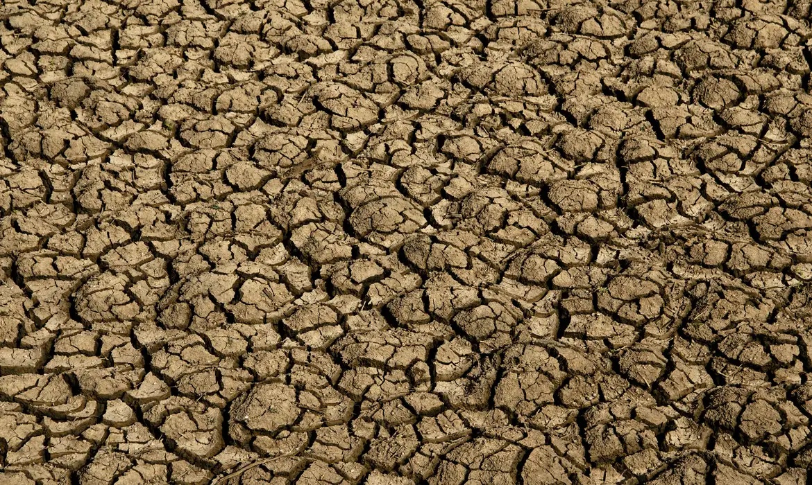 Degradação do solo ameaça água, produção de alimentos e biodiversidade no país.