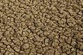 Desertificação ameaça água e produção de alimentos no Brasil