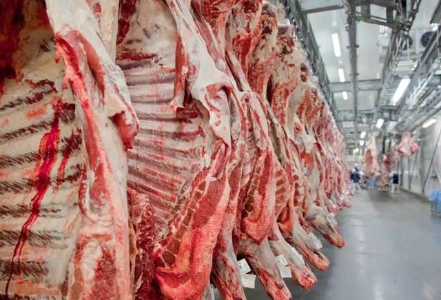 Trump libera importação de carne moída sem tarifa por 90 dias