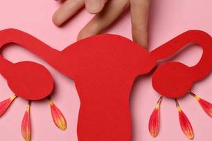 USP testa estratégia para tornar reposição hormonal mais segura na menopausa