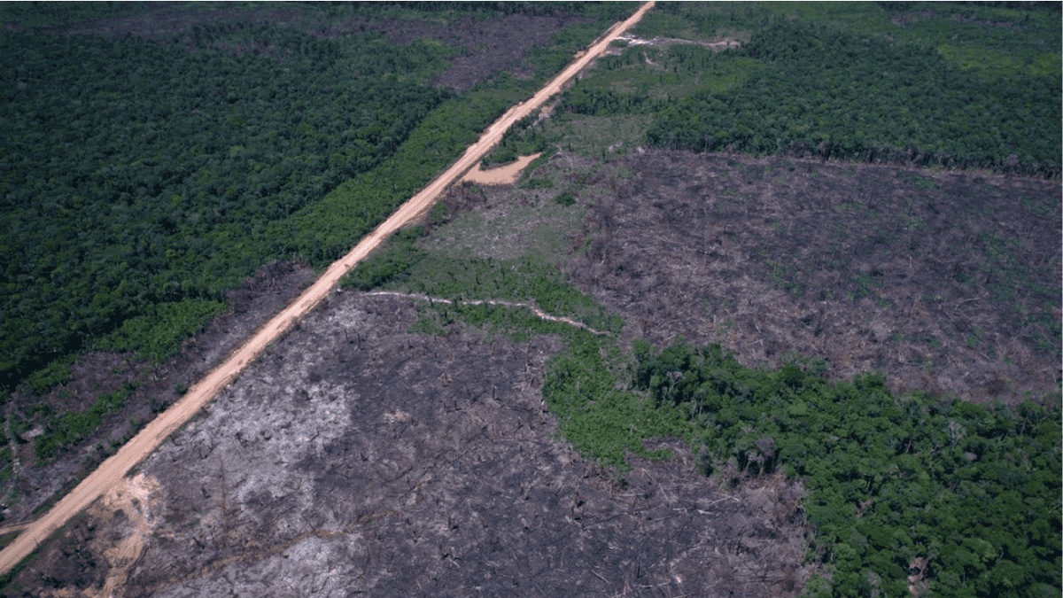 Sistema Deter registra menor área sob alerta de desmatamento na Amazônia desde 2016.