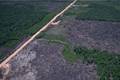 Alertas de desmatamento na Amazônia atingem menor nível desde 2016