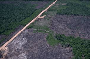 Sistema Deter registra menor área sob alerta de desmatamento na Amazônia desde 2016. (Foto: Divulgação/Orlando K. Junior)