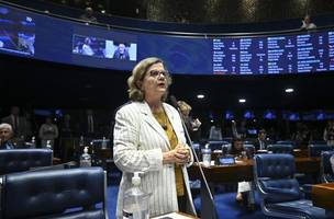 Teresa Leitão (Foto: Ton Molina/Agência Senado)