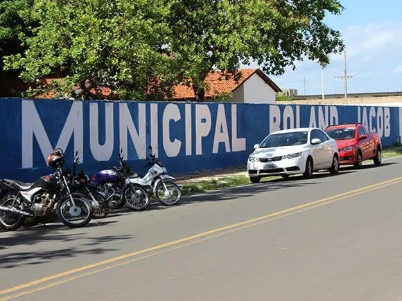 Ataque de abelhas deixou alunos e funcionários feridos na Escola Municipal Roland Jacob, em Parnaíba.