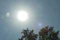 Piauí e outros 7 estados podem registrar mais de 40ºC nesta semana