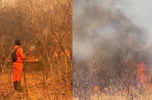 Incêndio atinge São João do Piauí (Foto: Secretaria de Meio Ambiente de São João do Piauí)