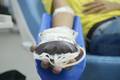 Pessoas com mais de 70 anos passam a poder doar sangue