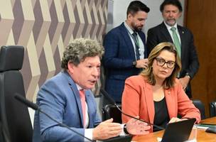 Ok (Foto: Edilson Rodrigues/Agência Senado)