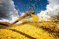 Agricultura brasileira bate recorde e movimenta R$ 927,2 bilhões em 2025