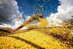 Agricultura brasileira bate recorde e movimenta R$ 927,2 bilhões em 2025