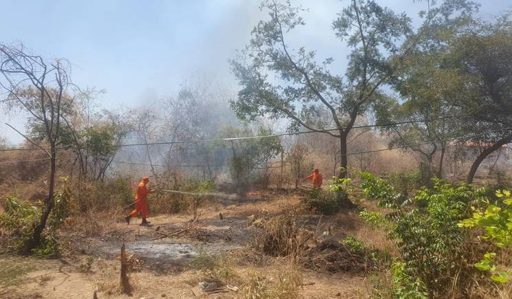 Incêndio em vegetação mobiliza bombeiros em Valença do Piauí